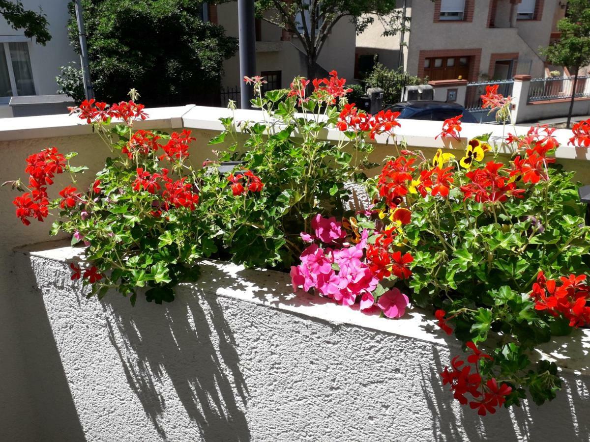 :) Grand Studio Lumineux A Toulouse Et Parking 외부 사진